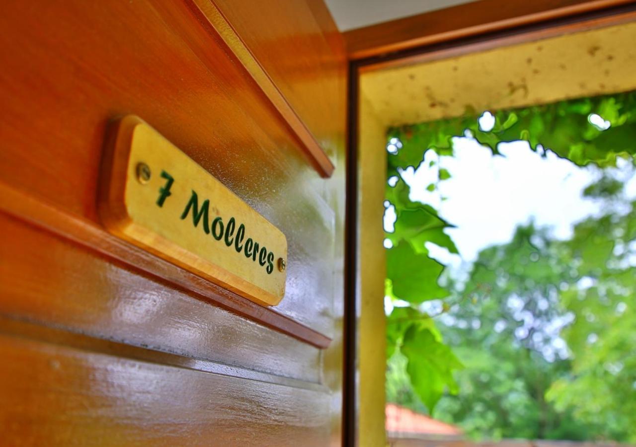 Beau Vallon - Gite Et Chambres D'Hotes Pyrenees-Mediterranee - Pays Catalan Sahorre Luaran gambar